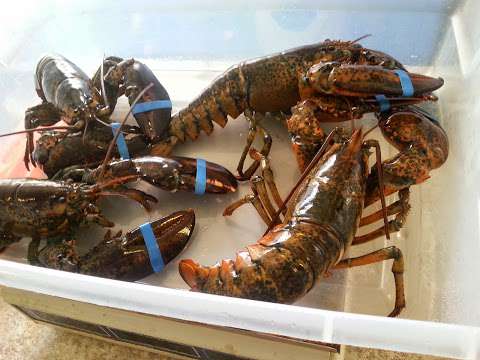 Lobsters’R’Us Seafood